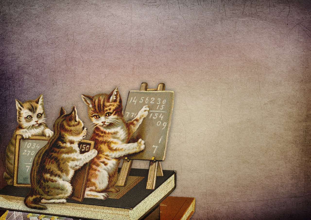 Kotki w szkole puzzle online