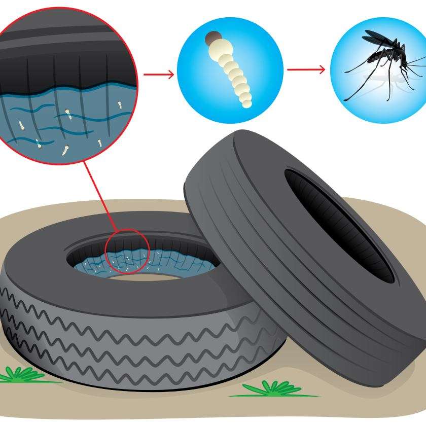 Denga i jak powstaje puzzle online
