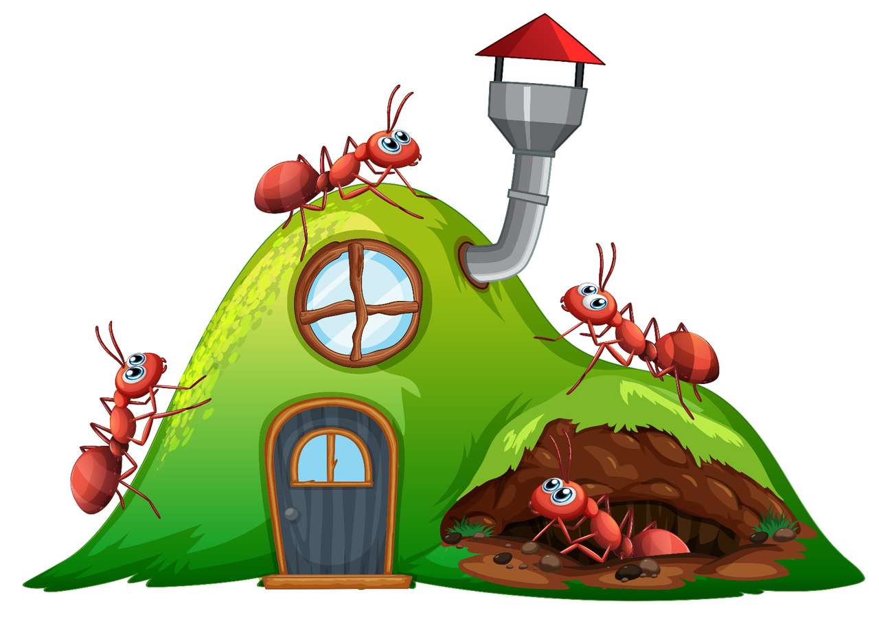 Układanka mrówek puzzle online