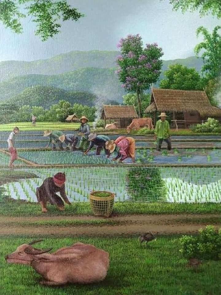 sadzenie ryżu puzzle online