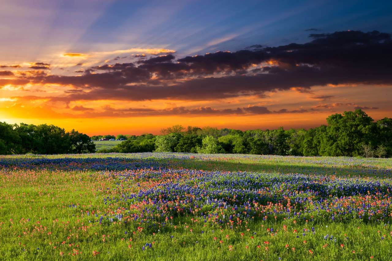 zachód słońca w Teksasie puzzle online