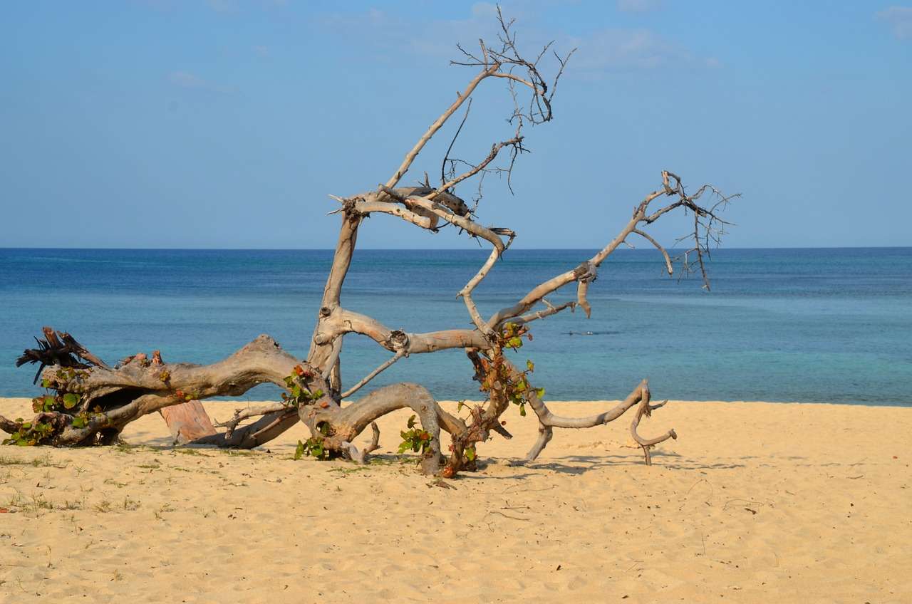 Plaża, morze, Karaiby puzzle online