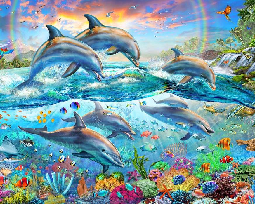 Rafa koralowa z delfinami puzzle online
