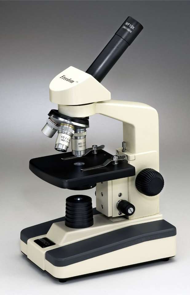Mikroskop puzzle online