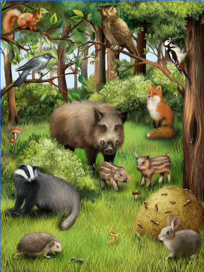 Puzzle- leśne zwierzęta puzzle online