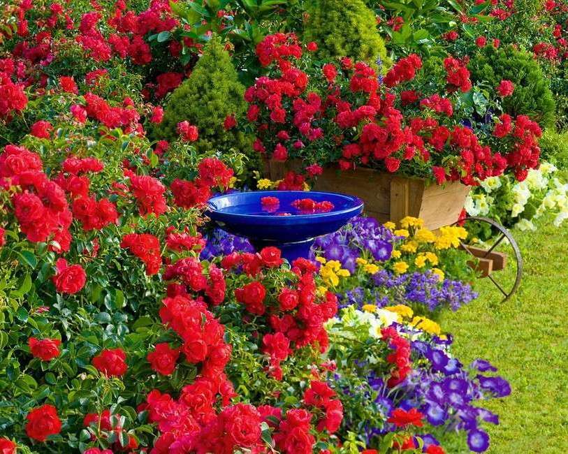 Kolorowe kwiaty w ogrodzie puzzle online