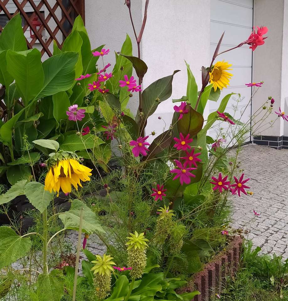 kwiaty na trawniku przed domem puzzle online