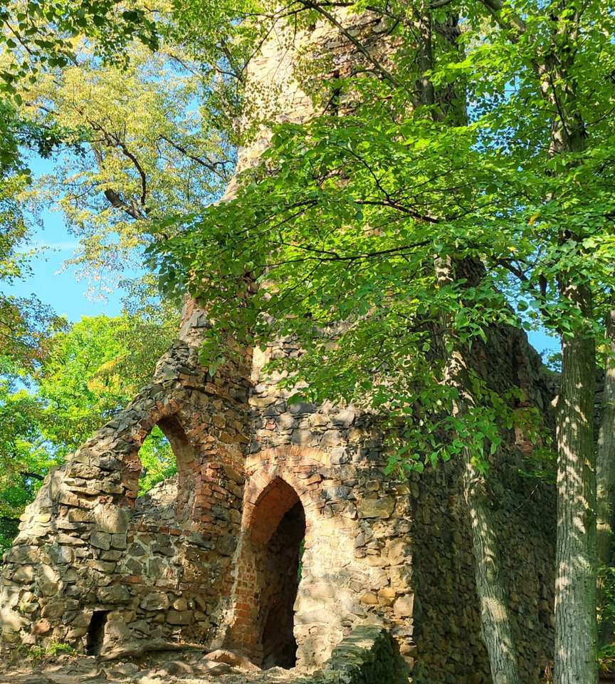 ruiny zamku w drzewach puzzle online