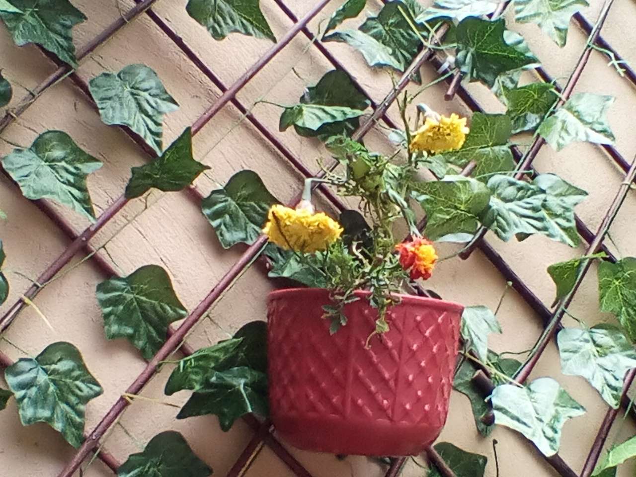 żółte rośliny puzzle online