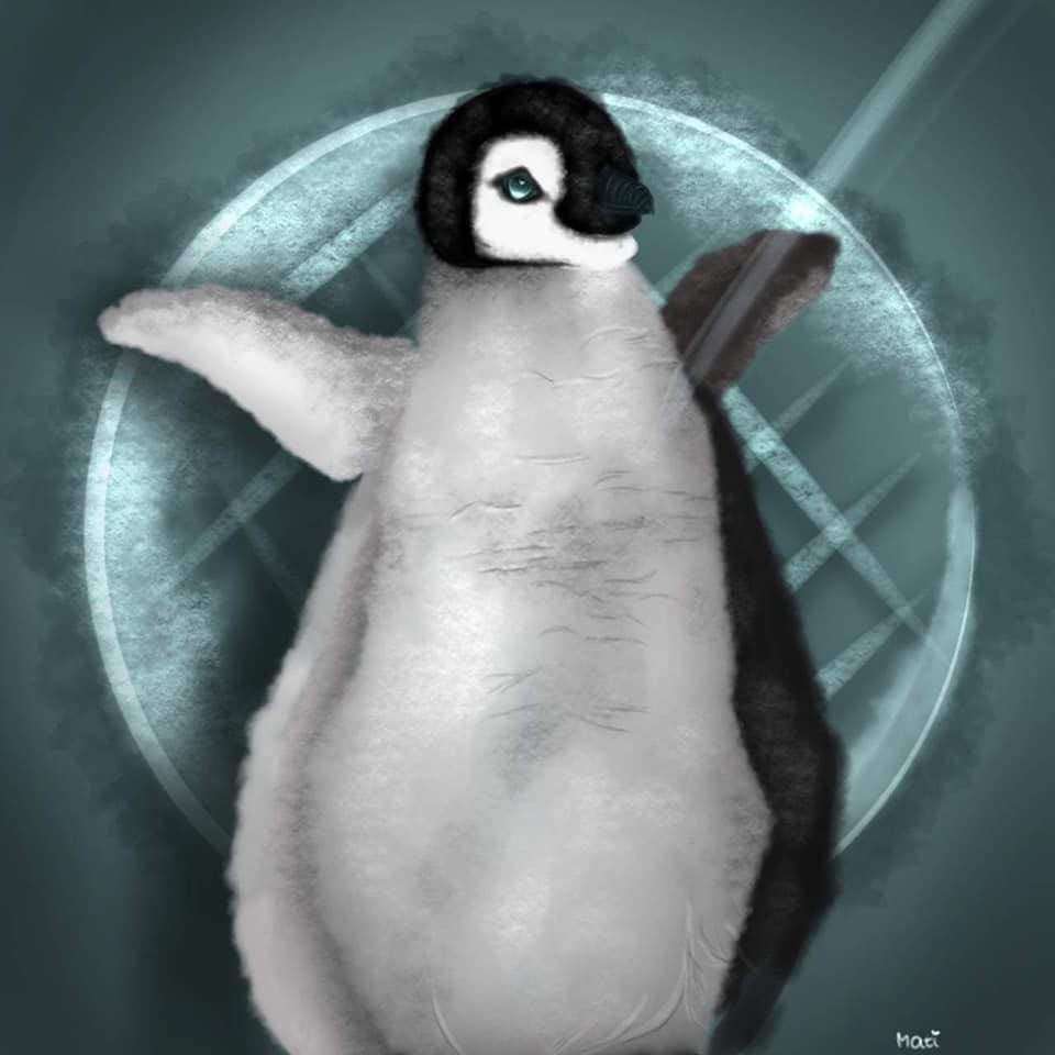 North Penguins rocznica puzzle online