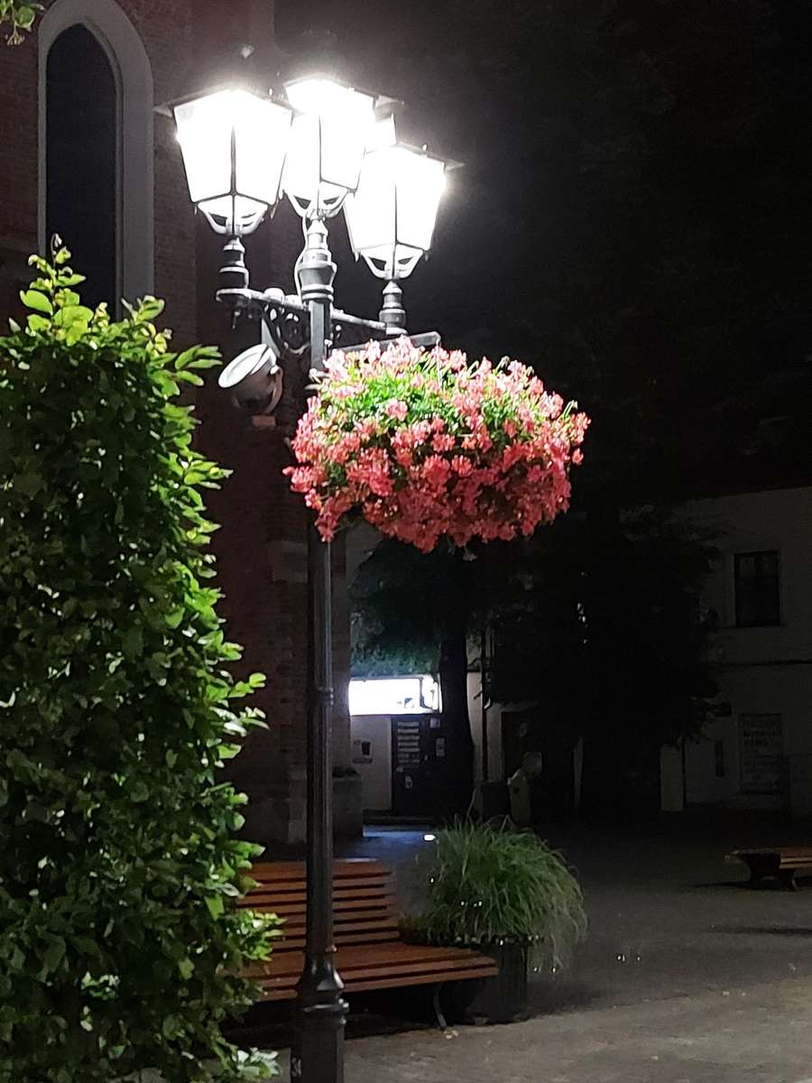 noc lampa kwiaty puzzle online