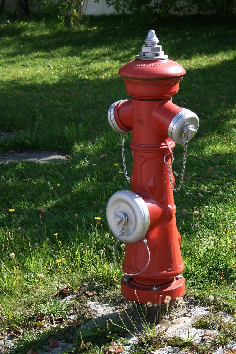 Przydrożny hydrant puzzle online