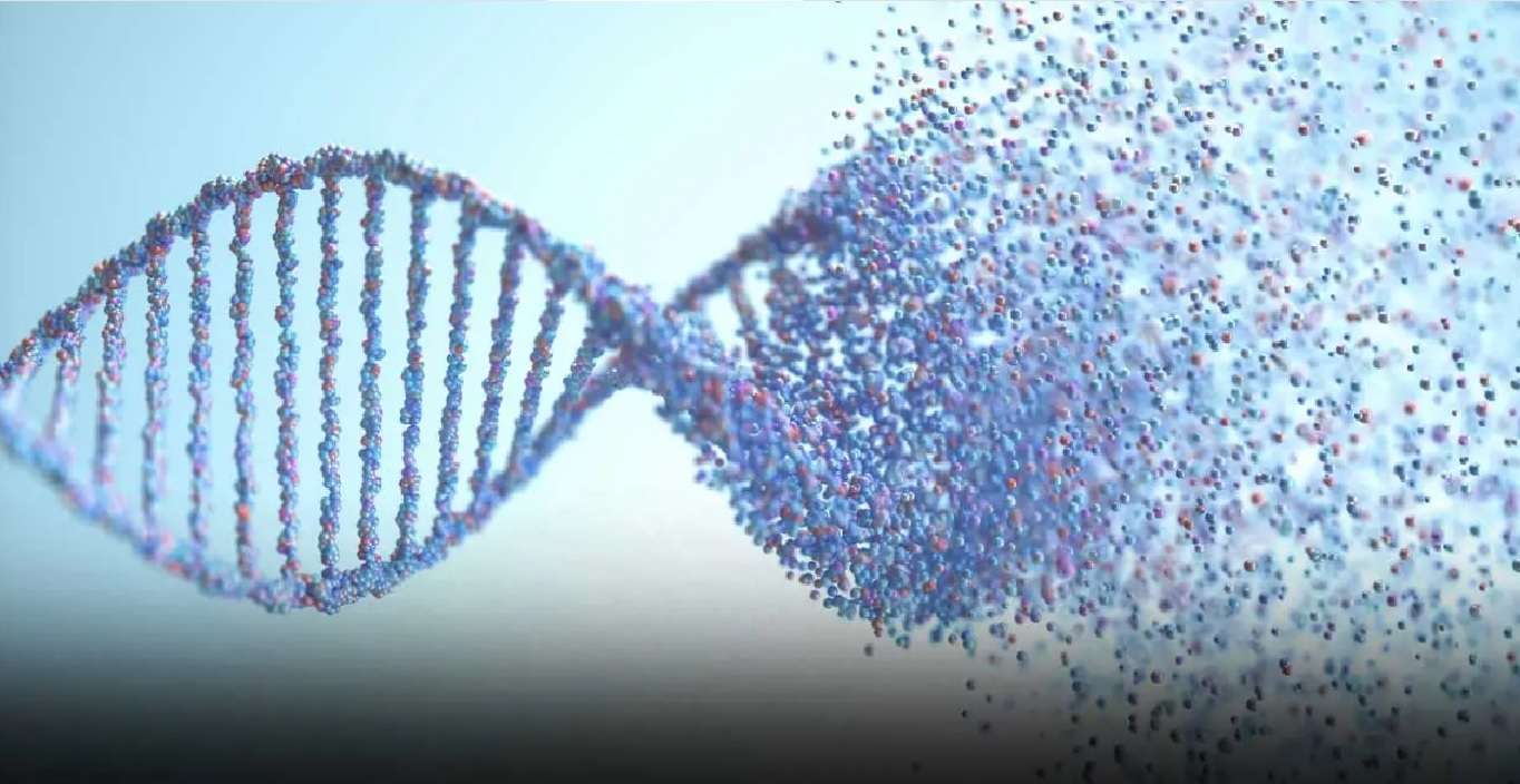 łańcuch DNA puzzle online