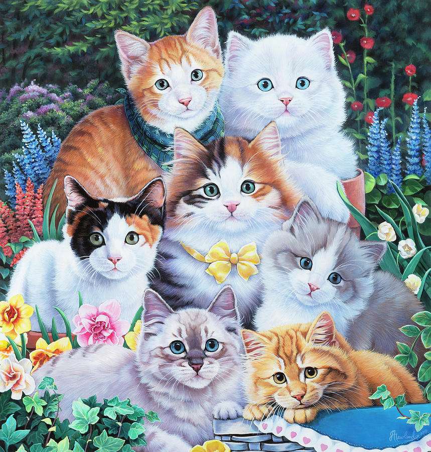 Śliczne kotki puzzle online