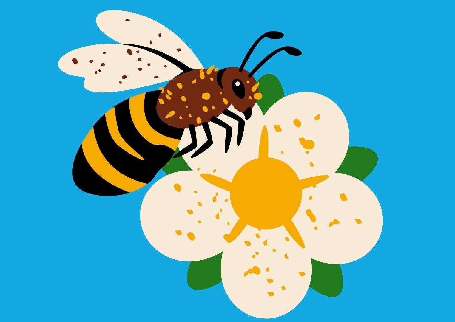 Pszczoła na kwiatku puzzle online