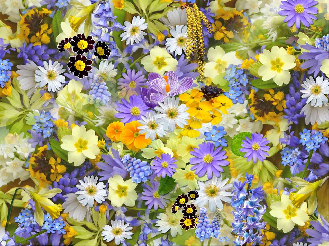 różnokolorowe kwiatki puzzle online