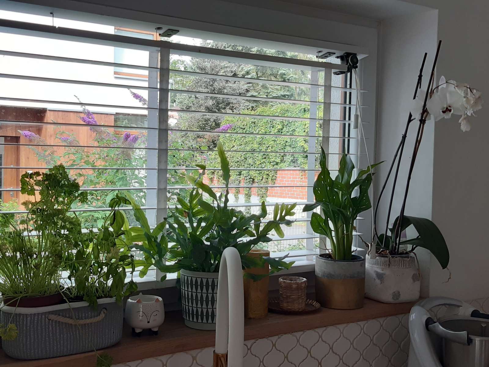 okno w kuchni z roślinkami puzzle online