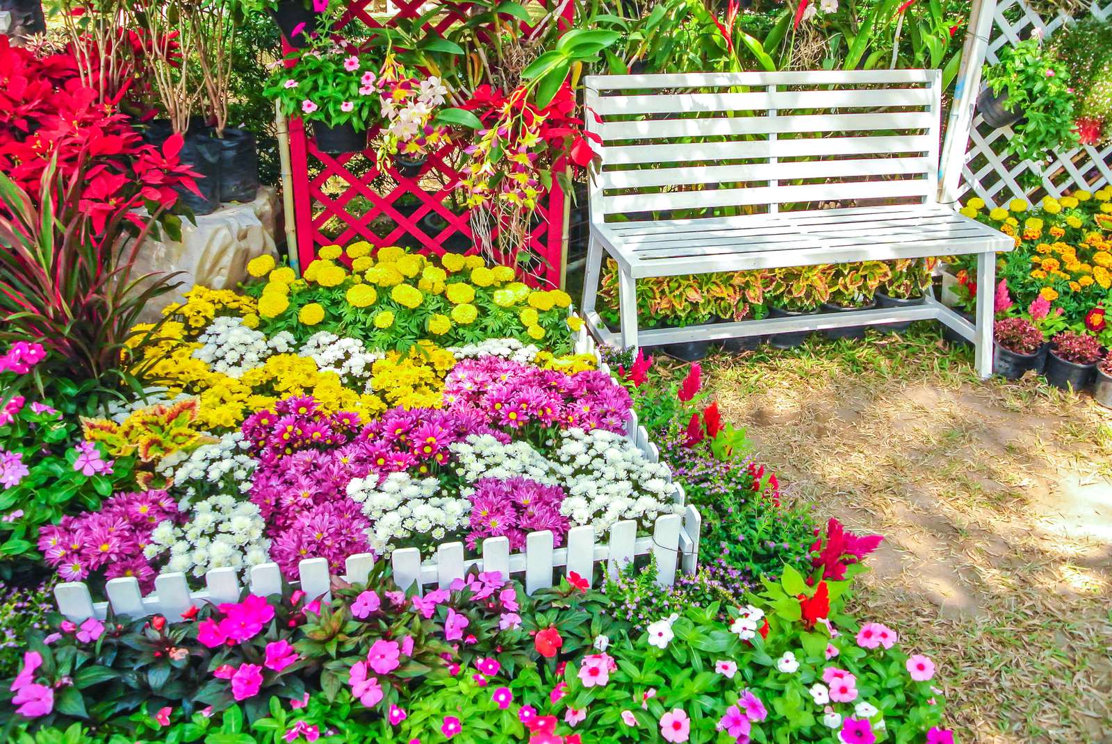 Ogródek w kwiatach puzzle online