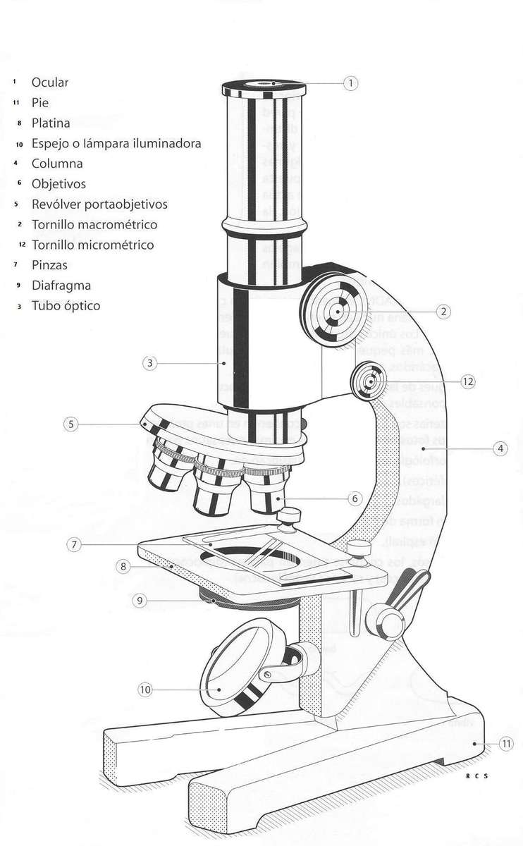 Mikroskop puzzle online