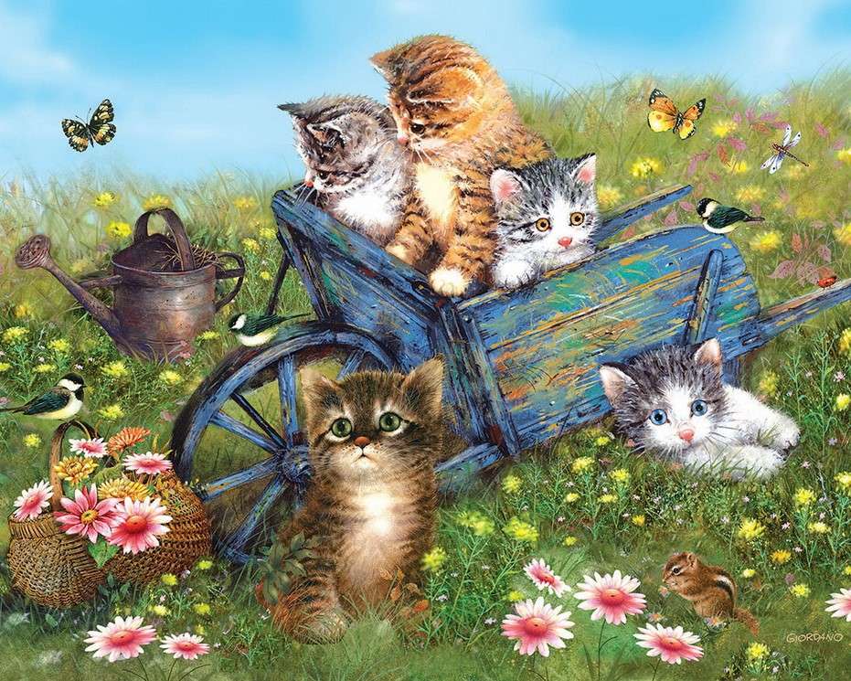 Kotki na łące puzzle online