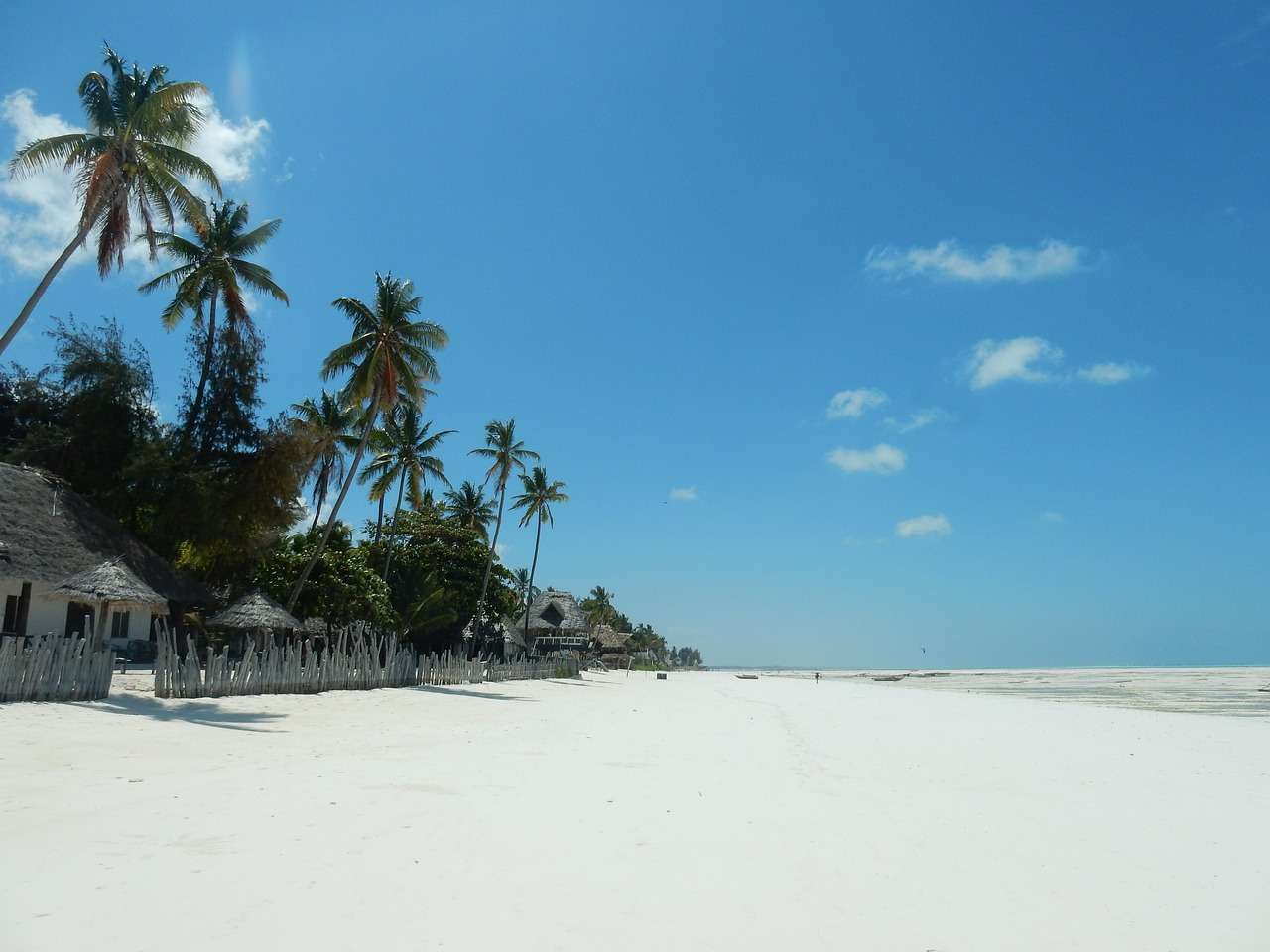 Plaża, palmy, morze. puzzle online