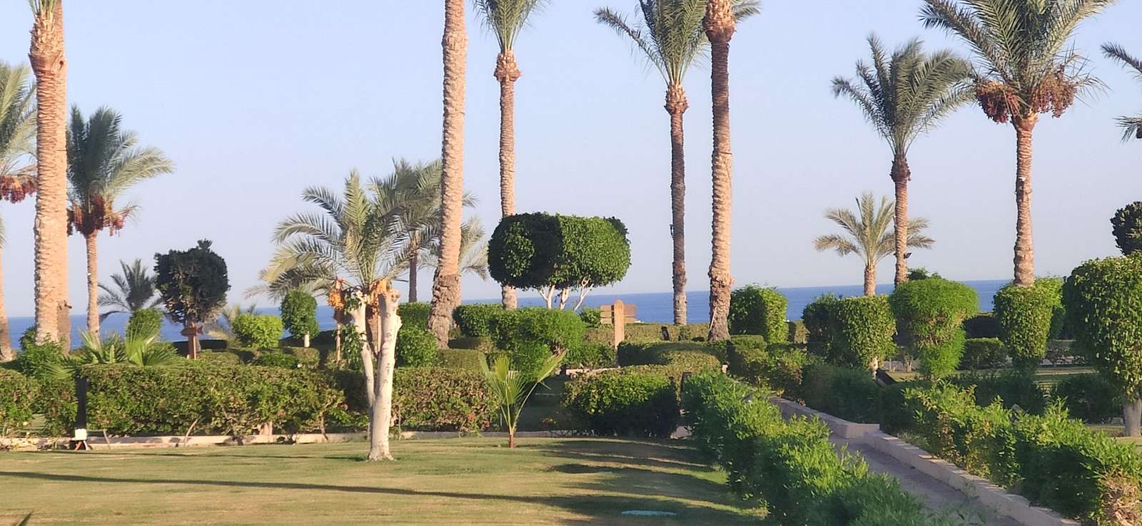 Grand Oasis Resort Sharm el Sheikh puzzle online