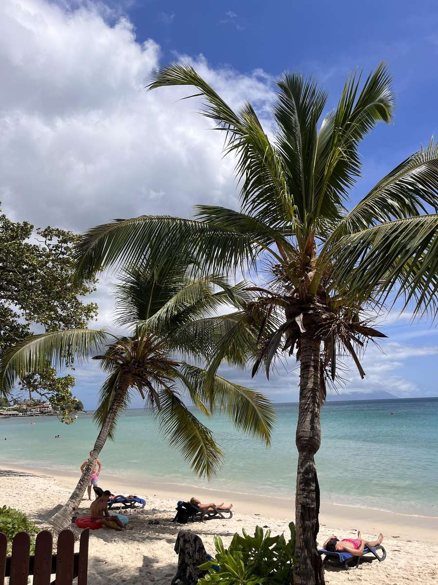 Palmy na plaży- Seszele puzzle online