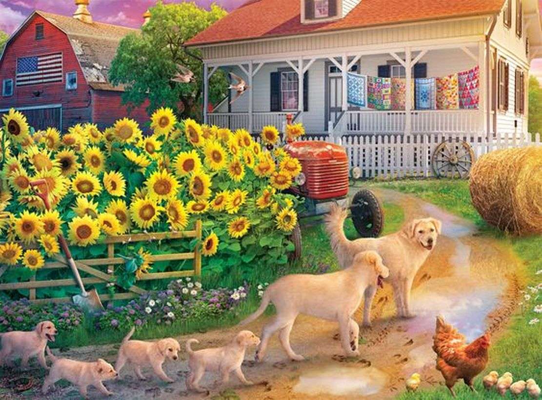 Słonecznik i psy puzzle online
