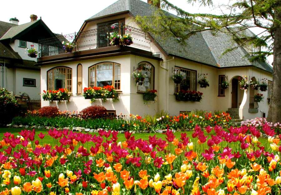 Kolorowe tulipany na posesji puzzle online