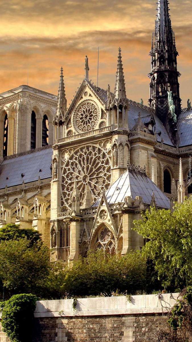 Paryż Katedra Notre-dame puzzle online