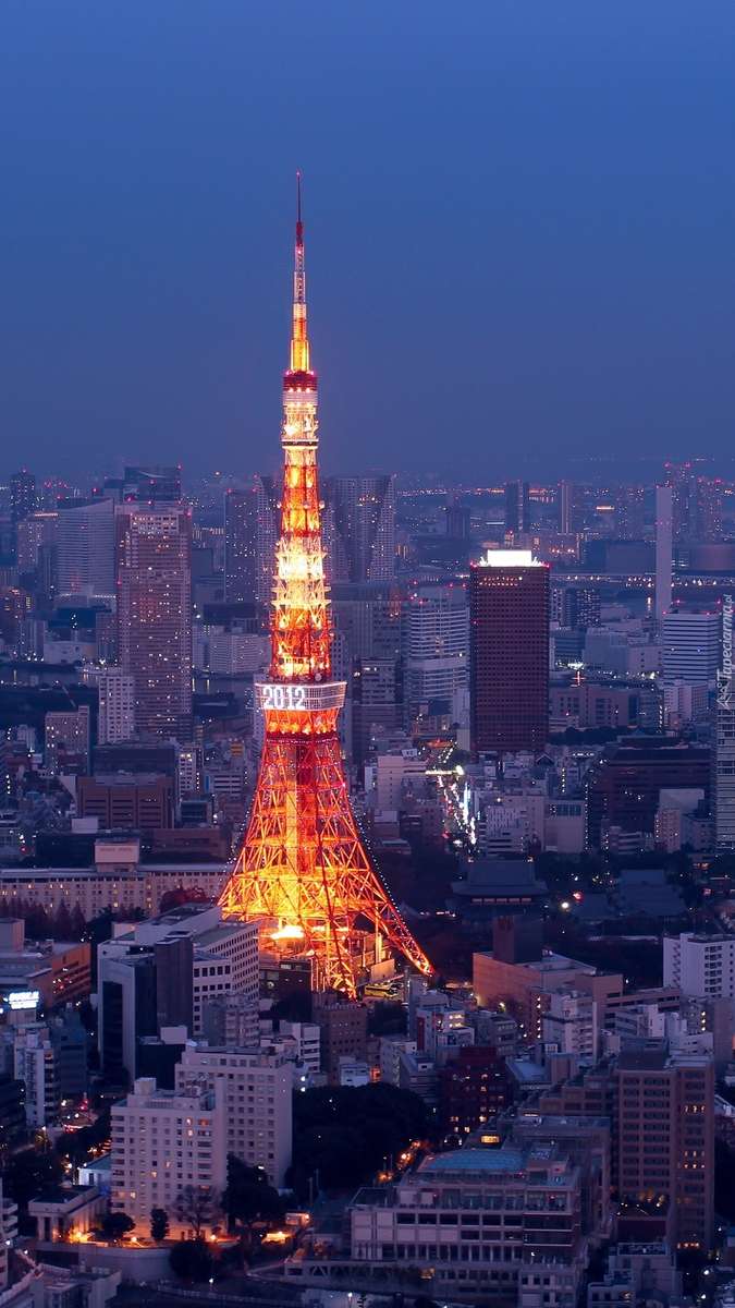Tokio nocą puzzle online