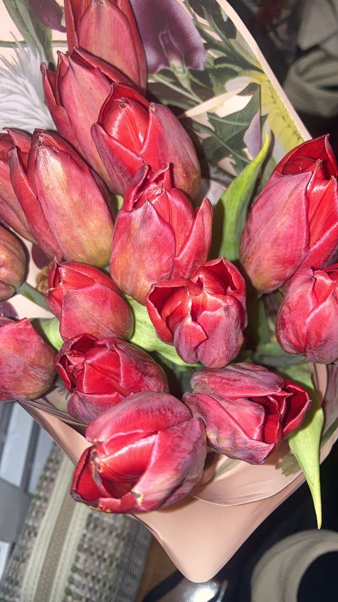 kwiat tulipana puzzle online