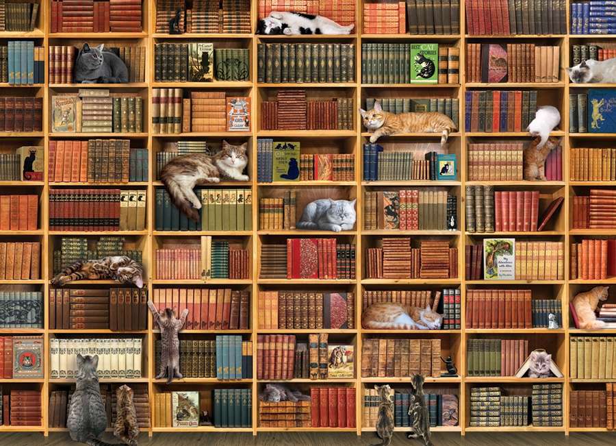 biblioteka kotów puzzle online