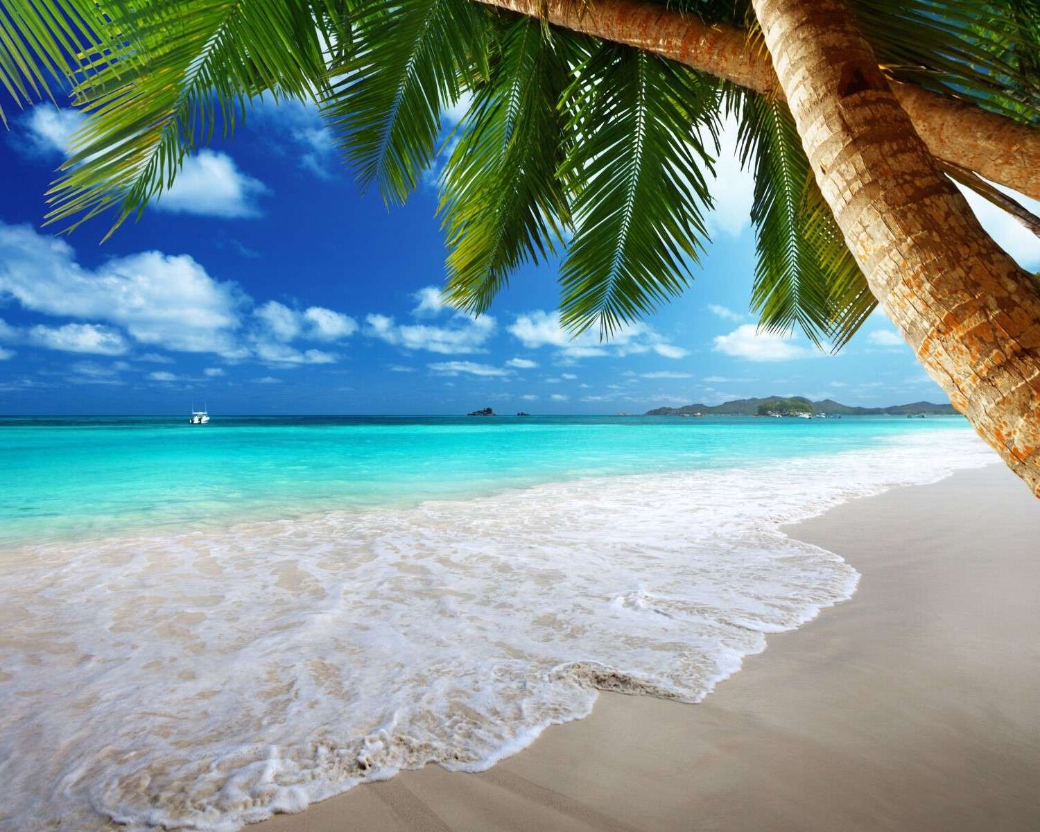 Piaszczysta plaża w Tropikach - puzzle online