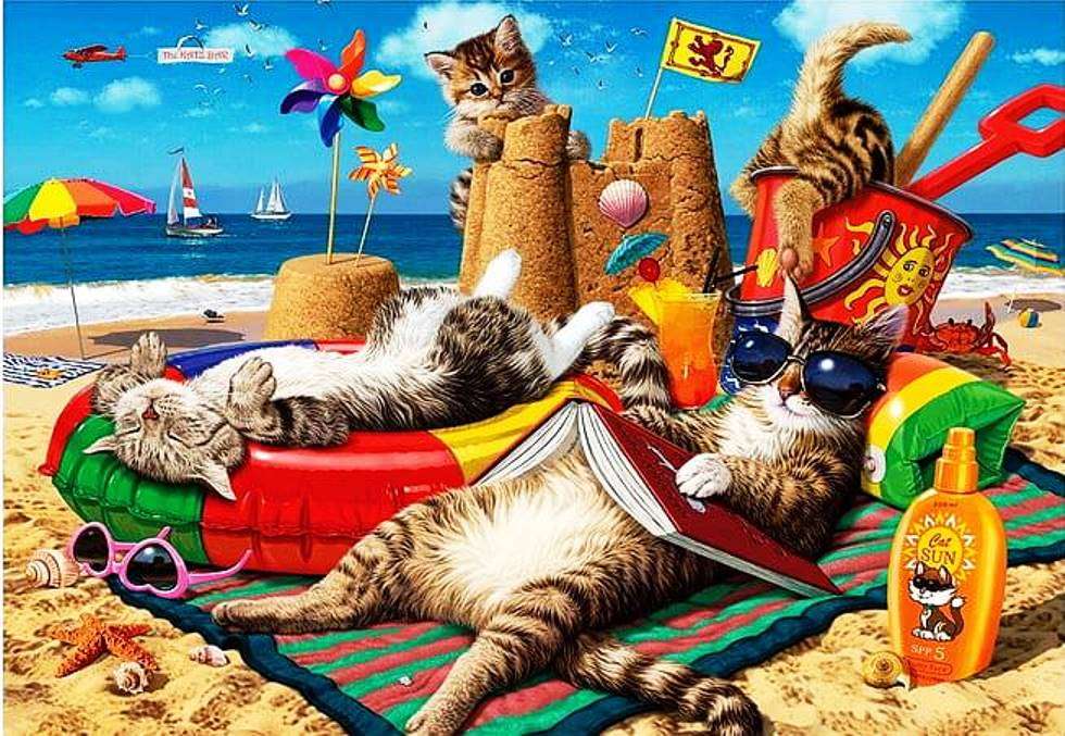Koty na plaży puzzle online