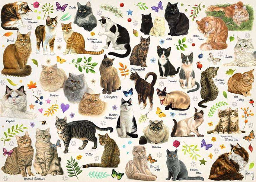 różne rodzaje kotów puzzle online