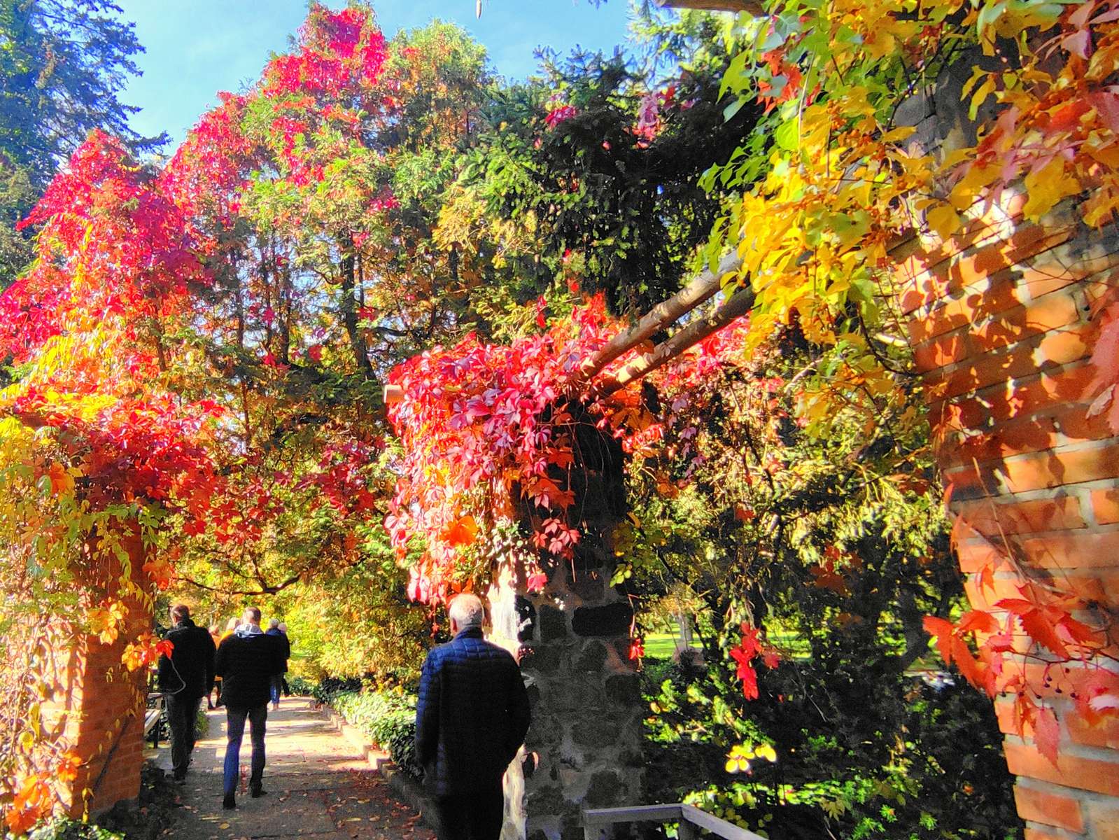 Jesienny spacer po parku w Żelazowej Woli puzzle online
