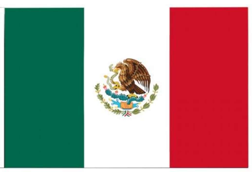 Działalność meksykańska F. A. D. puzzle online