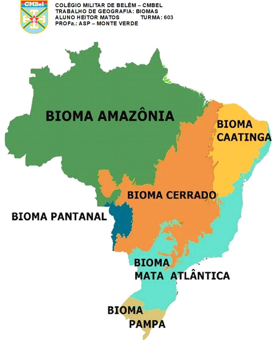 biomy Brazylii puzzle online