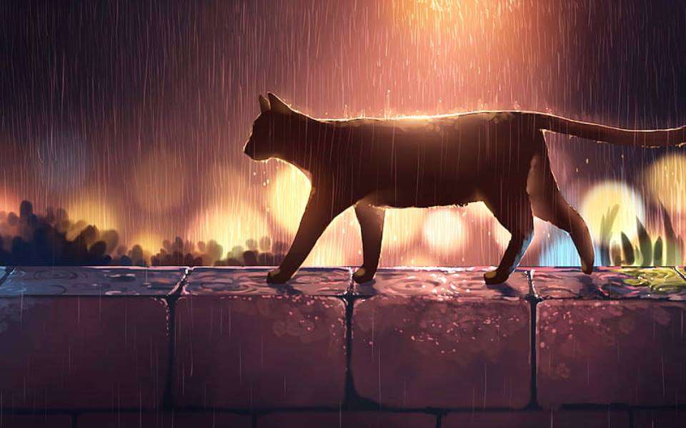 kot w deszczu puzzle online