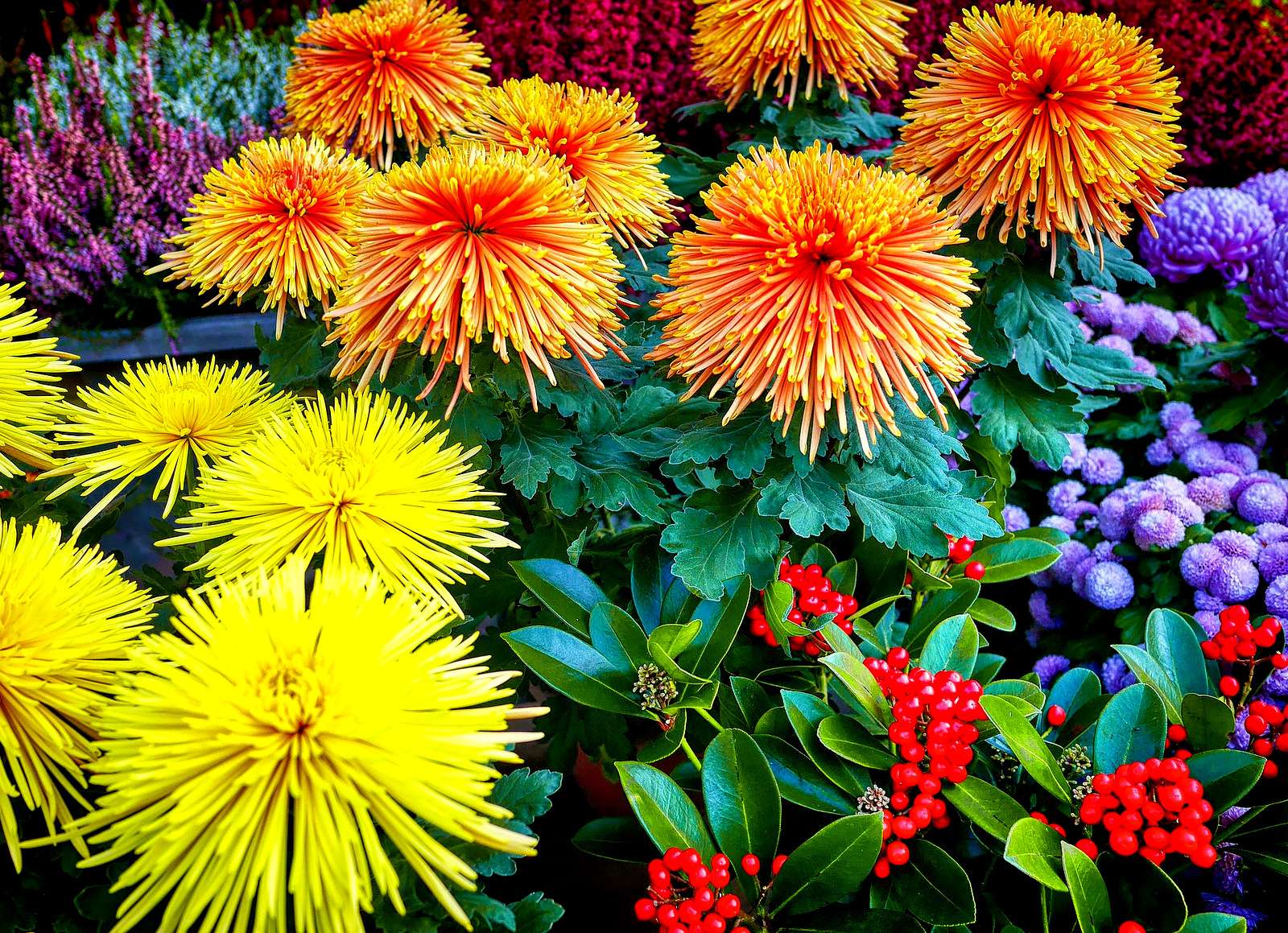 Soczyste barwy jesieni na targu kwiatowym puzzle online