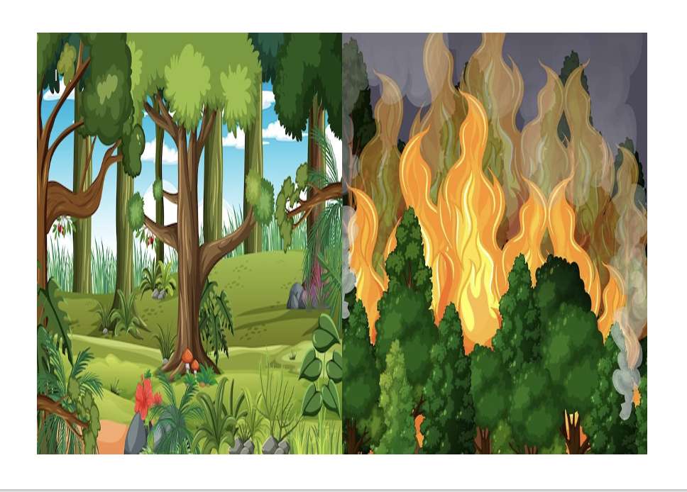 Bosques i podpalenia puzzle online