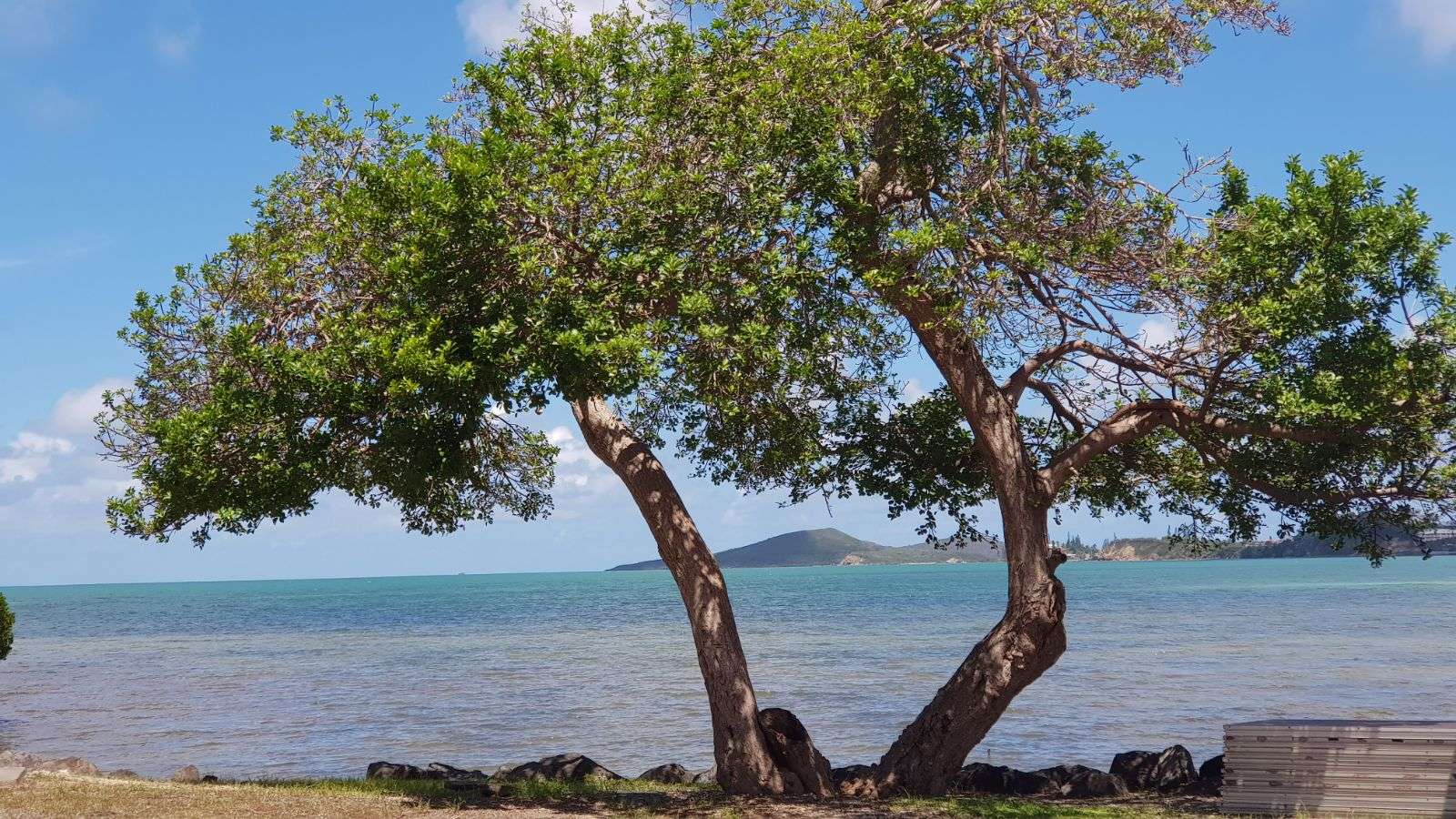Plaża w Nowej Kaledonii puzzle online