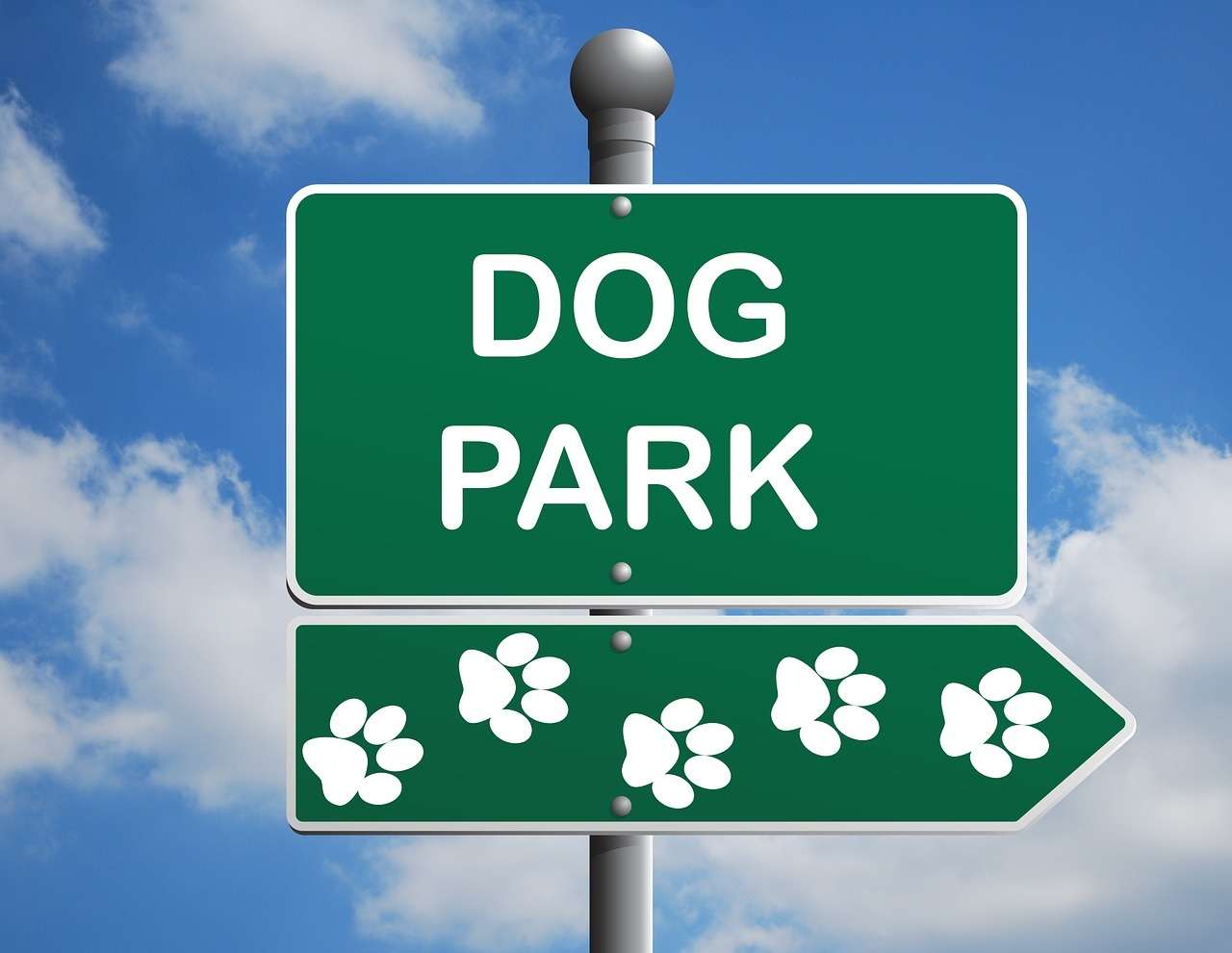 Park dla psów puzzle online