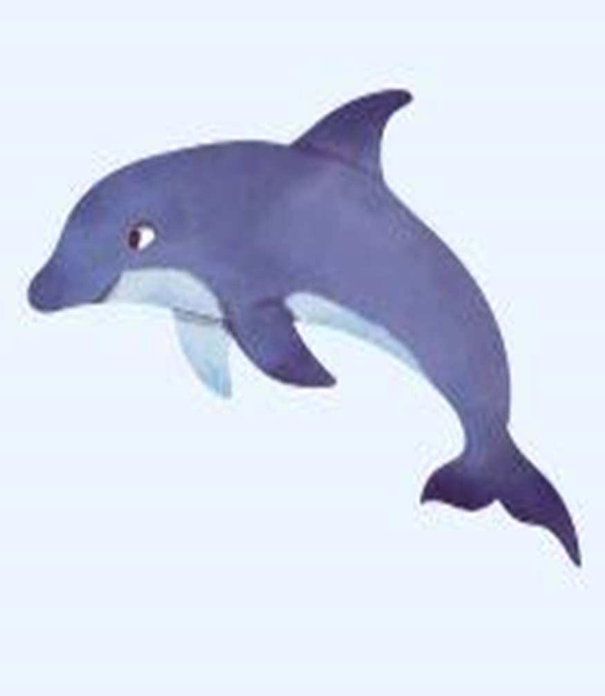 DELFIN JPG puzzle online