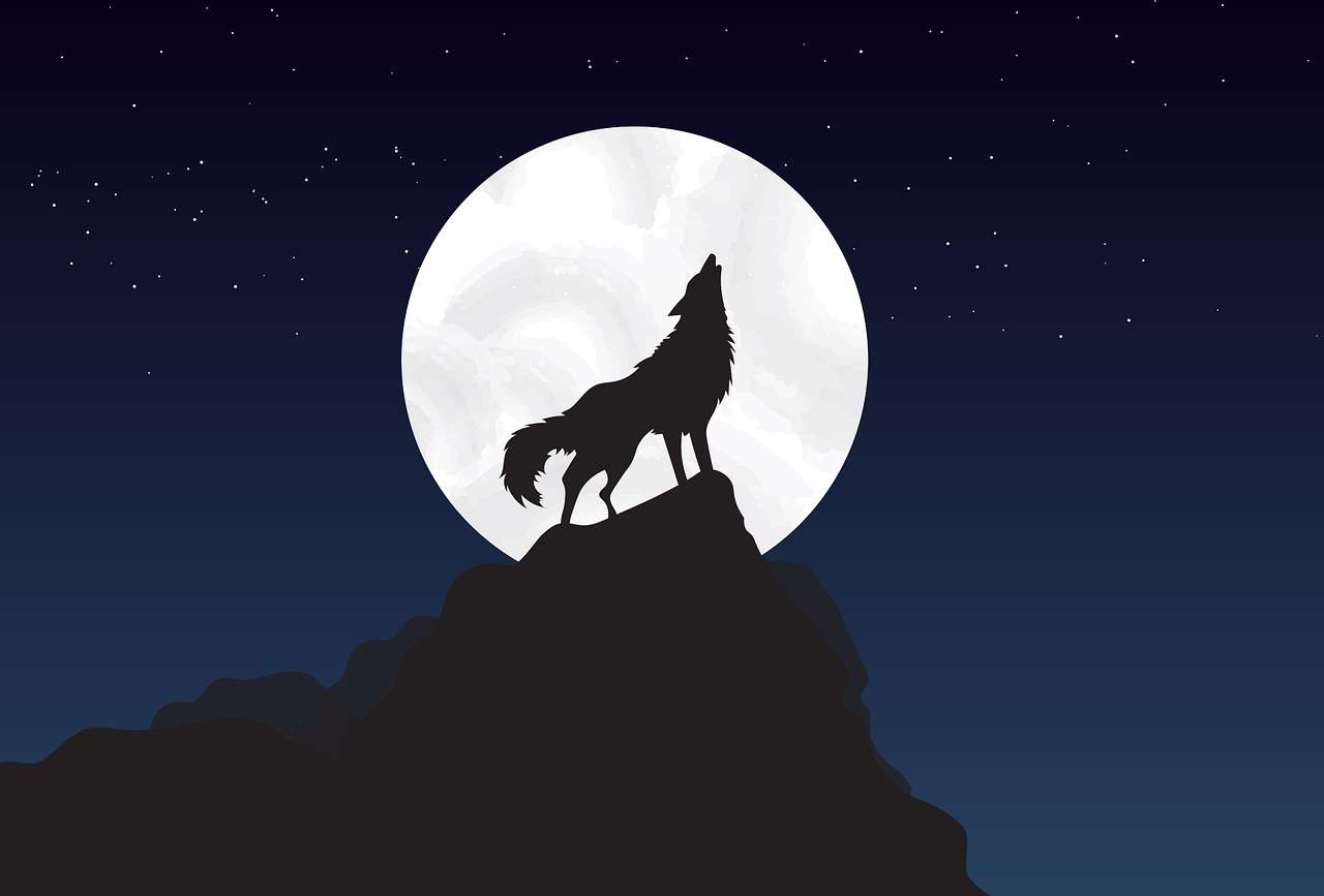 Wyjący wilk podczas pełni księżyca puzzle online