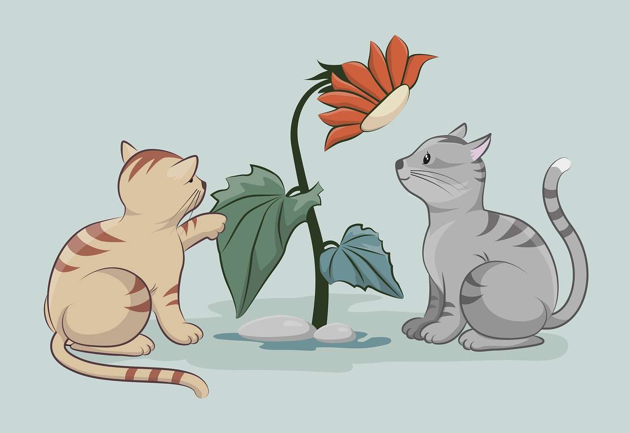 Koty bawiące się kwiatami puzzle online