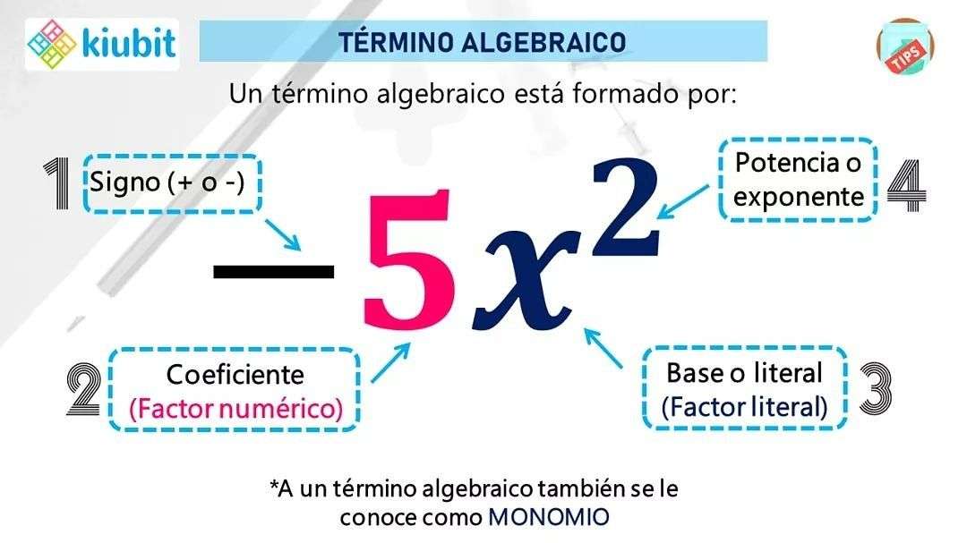 wyrażenia algebraiczne puzzle online