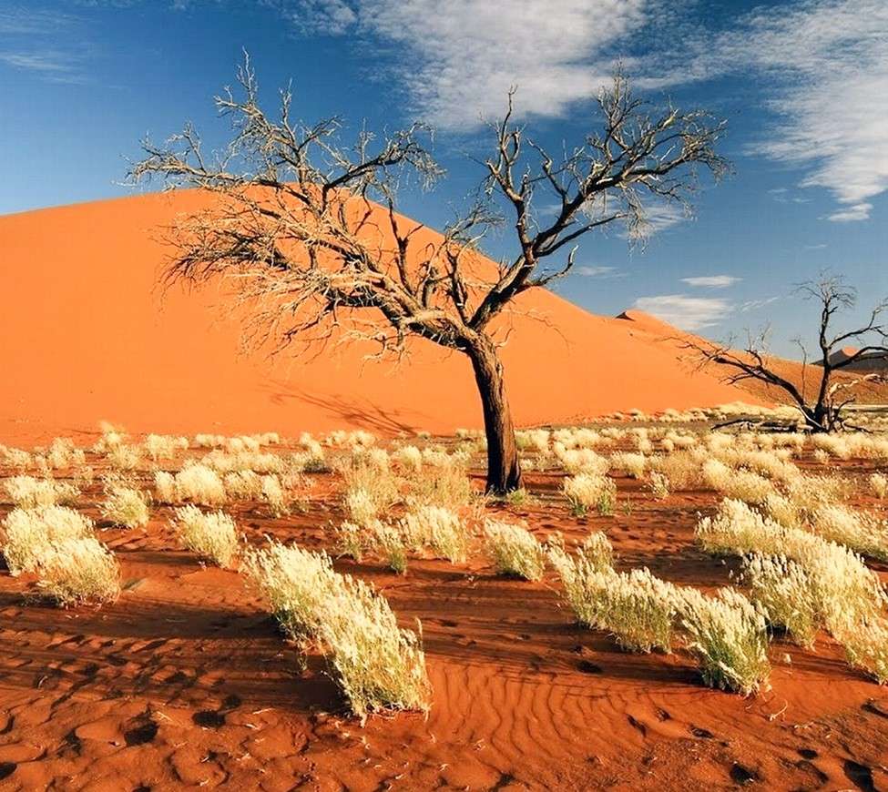 Namibia. Park Narodowy Etosha puzzle online