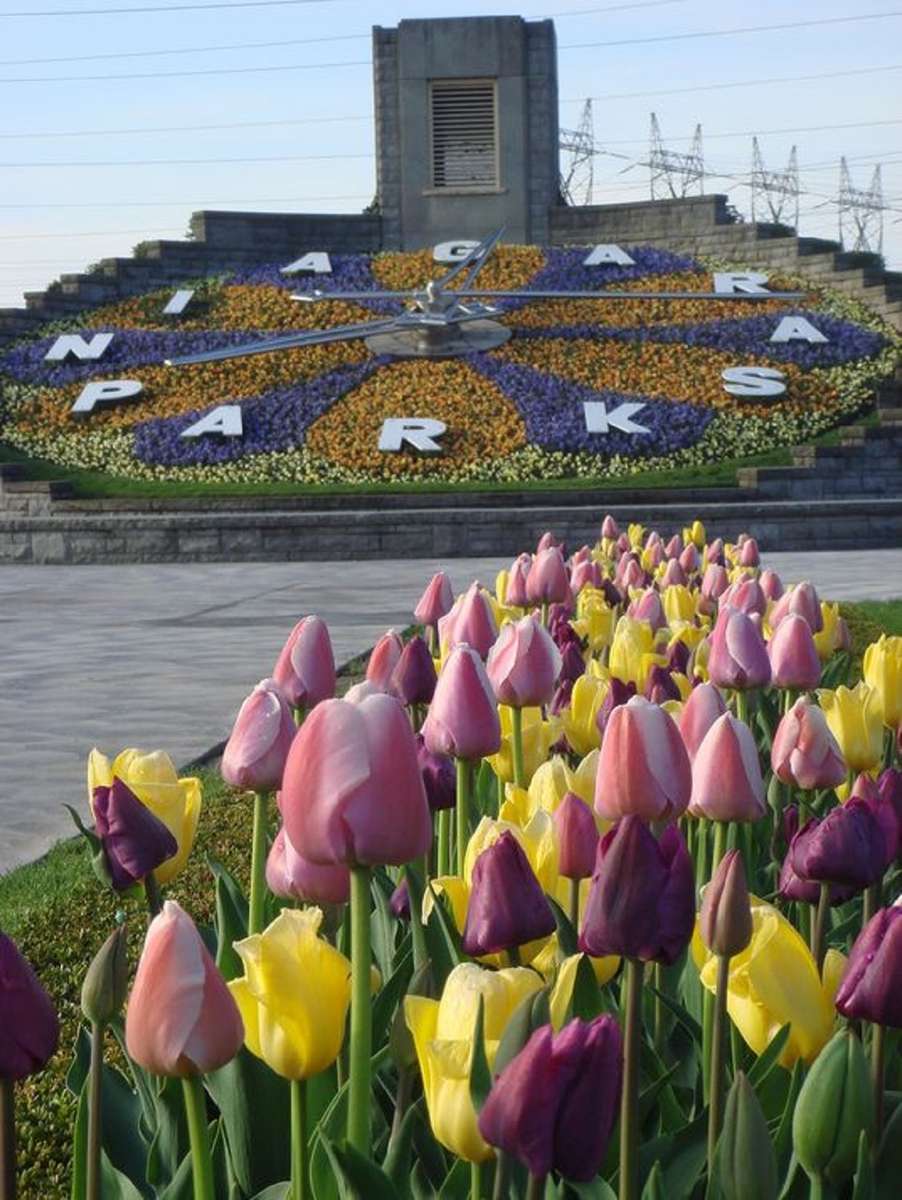 Zegar Kwiatowy - Park Niagara - Kanada puzzle online